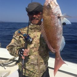 マタウマリンサービス 釣果