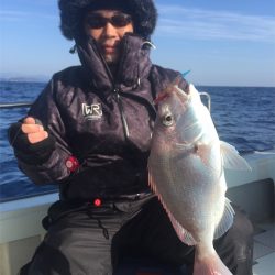 マタウマリンサービス 釣果