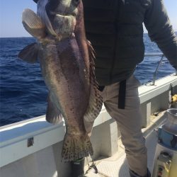 マタウマリンサービス 釣果