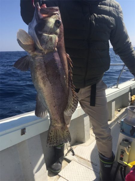 マタウマリンサービス 釣果