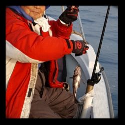 内浜丸 釣果