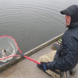 吉羽園 釣果