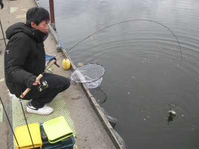 吉羽園 釣果