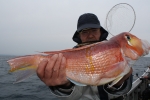 茂吉丸 釣果