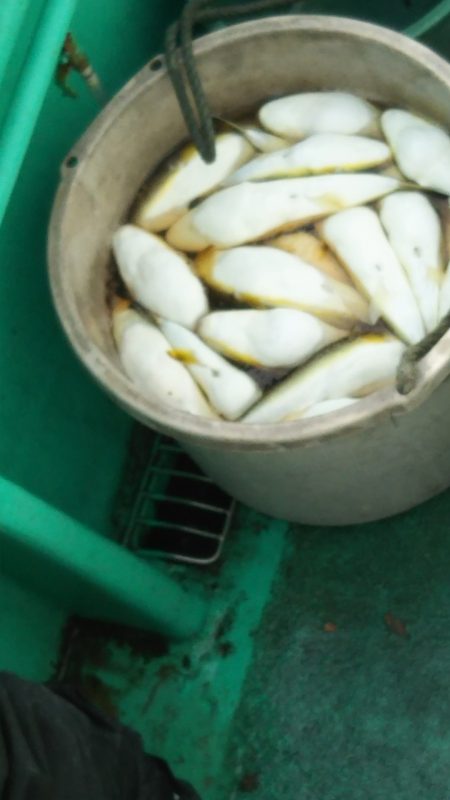 モンロー号 釣果