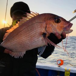 長栄丸(千葉) 釣果