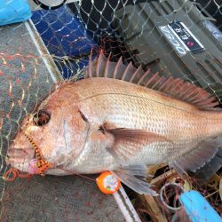 長栄丸(千葉) 釣果