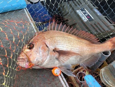 長栄丸(千葉) 釣果