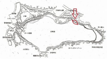 志高湖フィッシング 釣果