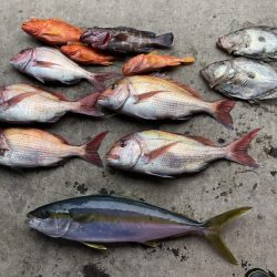 長栄丸(千葉) 釣果