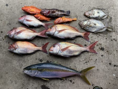 長栄丸(千葉) 釣果