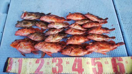 第二常豊丸 釣果