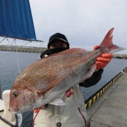 大進丸(新潟) 釣果