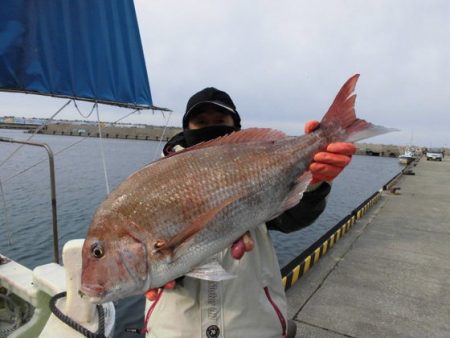 大進丸（新潟） 釣果