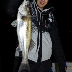 Marine T Design マリンティーデザイン 釣果