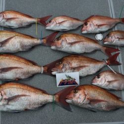 へいみつ丸 釣果