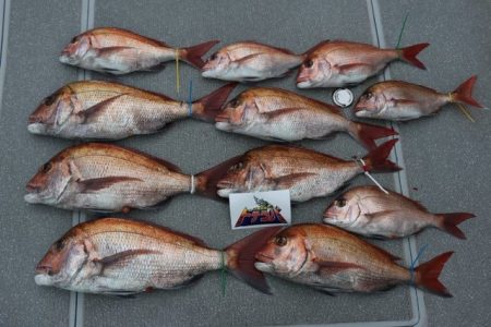 へいみつ丸 釣果