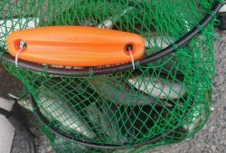 伊豆下田フィッシング 釣果