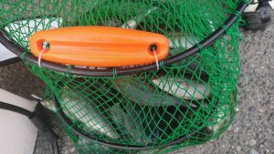 伊豆下田フィッシング 釣果