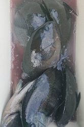 伊豆下田フィッシング 釣果