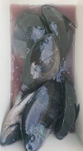 伊豆下田フィッシング 釣果