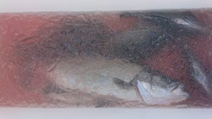 伊豆下田フィッシング 釣果