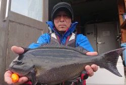 伊豆下田フィッシング 釣果