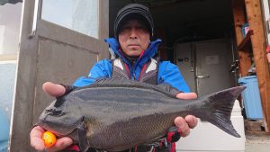 伊豆下田フィッシング 釣果