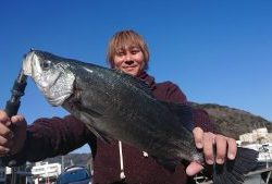 伊豆下田フィッシング 釣果