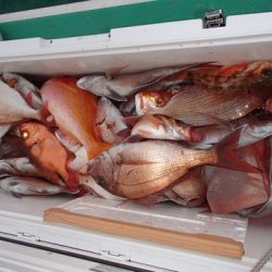 第二むつ漁丸 釣果