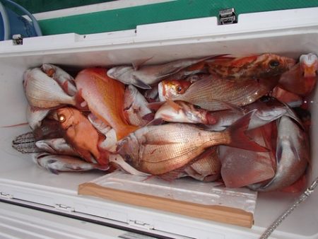 第二むつ漁丸 釣果