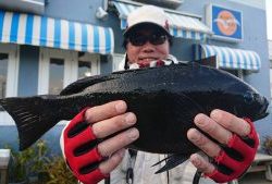 伊豆下田フィッシング 釣果