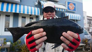 伊豆下田フィッシング 釣果