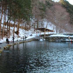 小菅トラウトガーデン 釣果