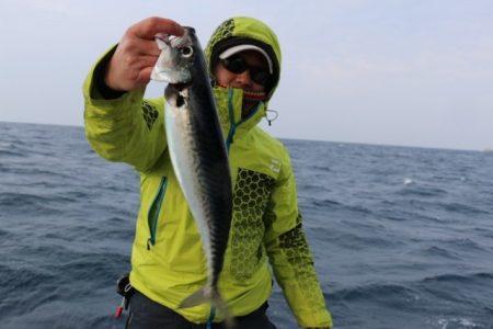 へいみつ丸 釣果