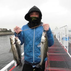 尼崎市立魚つり公園 釣果