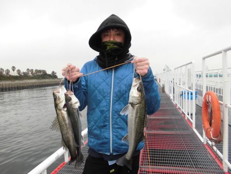 尼崎市立魚つり公園 釣果