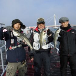尼崎市立魚つり公園 釣果