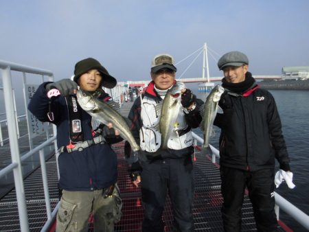 尼崎市立魚つり公園 釣果