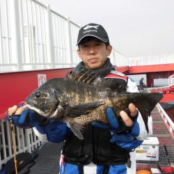 尼崎市立魚つり公園 釣果