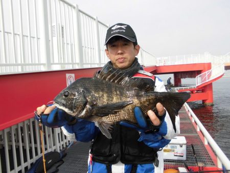 尼崎市立魚つり公園 釣果