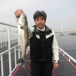 尼崎市立魚つり公園 釣果