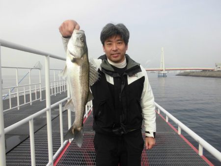 尼崎市立魚つり公園 釣果