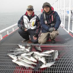 尼崎市立魚つり公園 釣果