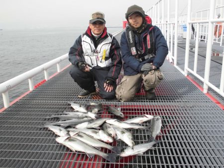 尼崎市立魚つり公園 釣果