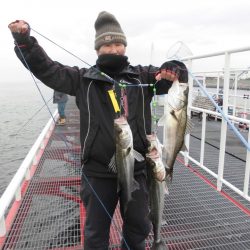 尼崎市立魚つり公園 釣果