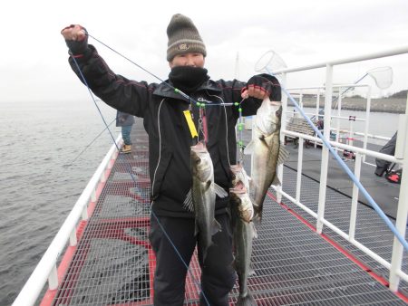 尼崎市立魚つり公園 釣果