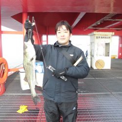 尼崎市立魚つり公園 釣果