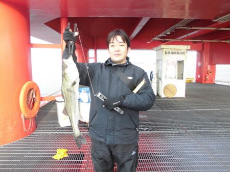 尼崎市立魚つり公園 釣果