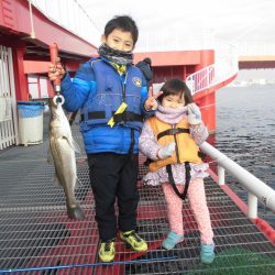 尼崎市立魚つり公園 釣果